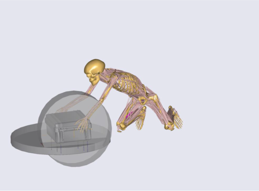 Loading an aircraft: Validation of the lumbar spine model and analysis of lumbar loads in airport baggage handlers