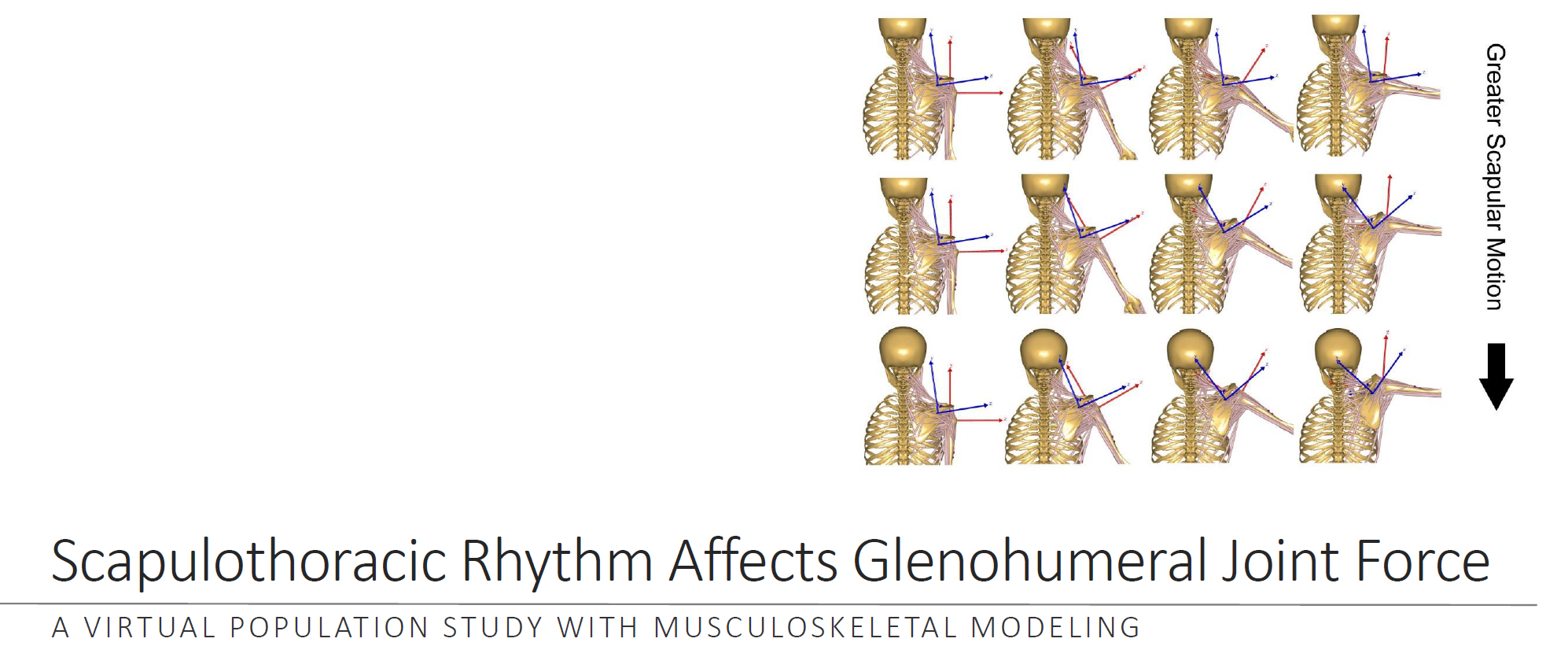 Scapulothoracic Rhythm Affects Glenohumeral Joint Force