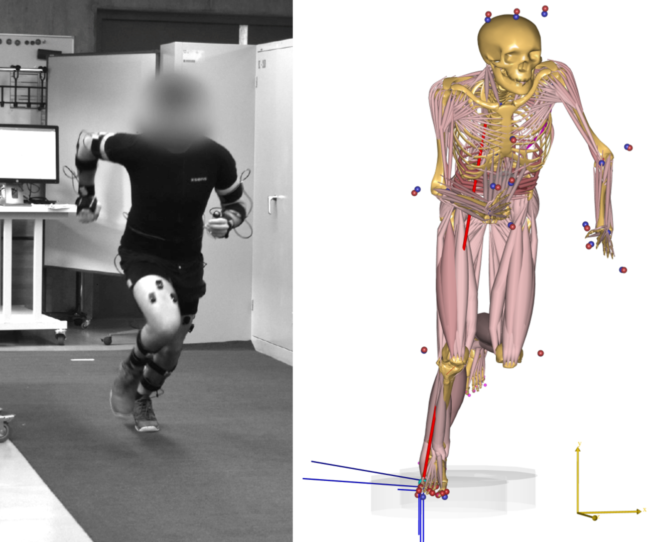 Effect of mental demand on leg loading in highly dynamic motion