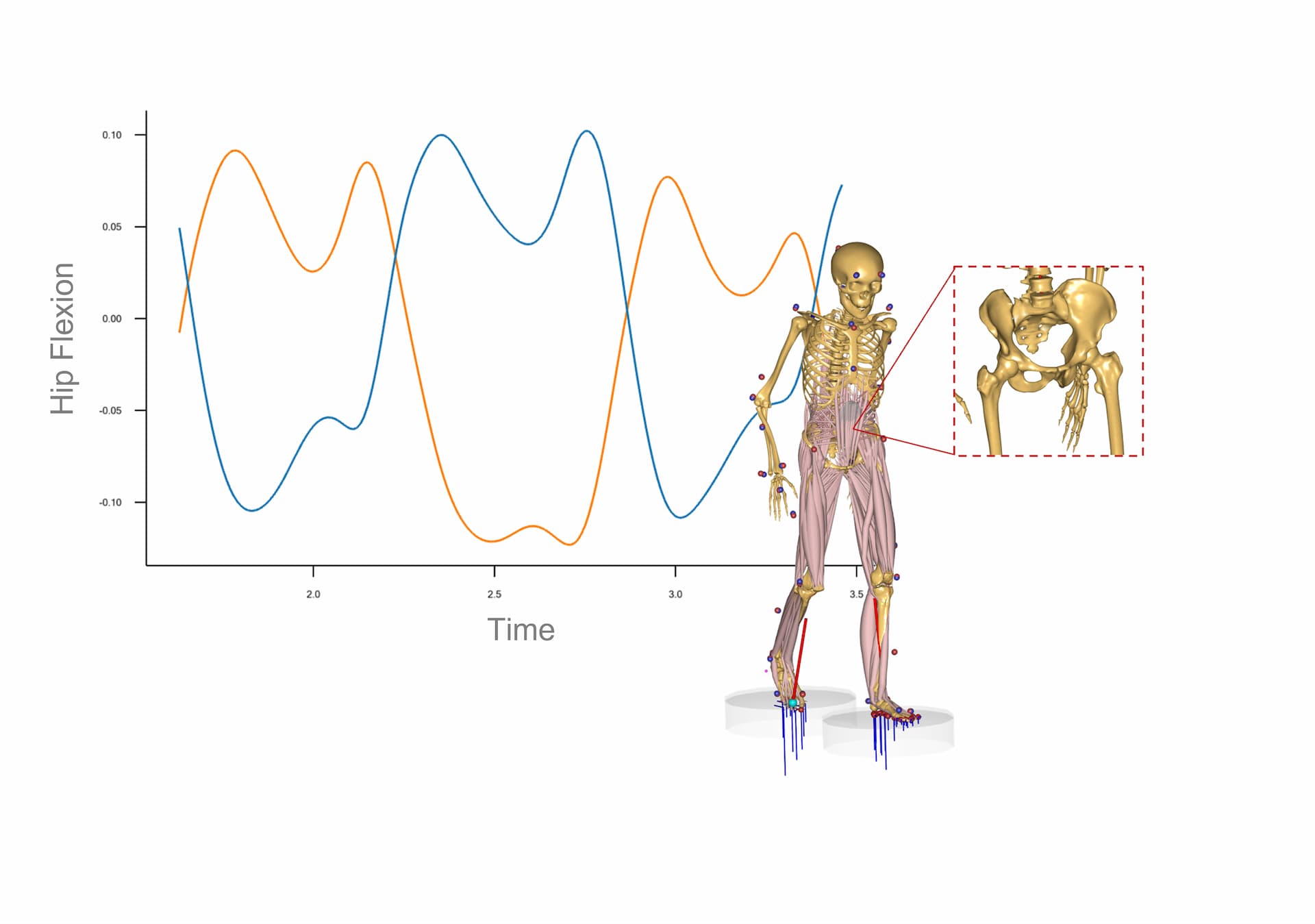 Computational biomechanics